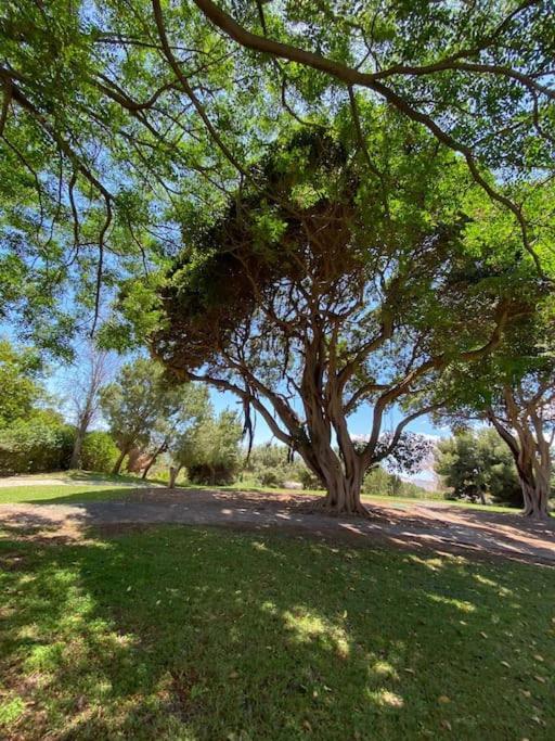 Apartamento Moderno Con Vistas, Recepcion 24 Hs Y Piscinas